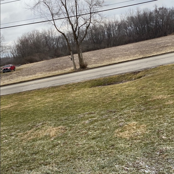 Meet your Posher, Silas - Picture 1 of 1